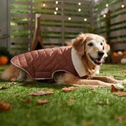 Frisco Mid-Heavyweight Fleece Lined Quilted Dog & Cat Coat -Cat Toy Shop 353877 PT7. AC SS1800 V1660750171