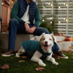 Frisco Mediumweight Reversible Dog & Cat Coat -Cat Toy Shop 353932 PT7. AC SS1800 V1660749442