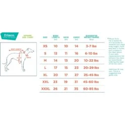 Frisco Dog & Cat Hoodie With Removable Fanny Pack -Cat Toy Shop 353965 PT1. AC SS1800 V1658922594