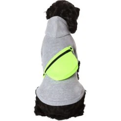Frisco Dog & Cat Hoodie With Removable Fanny Pack -Cat Toy Shop 353965 PT2. AC SS1800 V1659008241