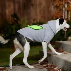 Frisco Dog & Cat Hoodie With Removable Fanny Pack -Cat Toy Shop 353965 PT7. AC SS1800 V1660749475