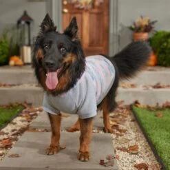 Frisco Pink Tie Dye Dog & Cat Hoodie -Cat Toy Shop 353981 PT7. AC SS1800 V1660749835