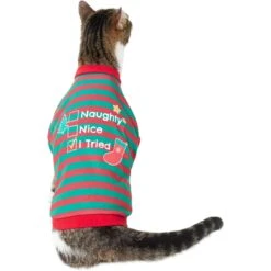Frisco Naughty, Nice, I Tried Dog & Cat T-Shirt