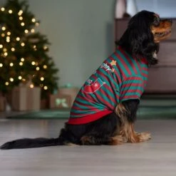 Frisco Naughty, Nice, I Tried Dog & Cat T-Shirt -Cat Toy Shop 358301 PT7. AC SS1800 V1661797473