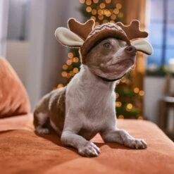 Frisco Antler Fair Isle Dog & Cat Hat -Cat Toy Shop 358313 PT4. AC SS1800 V1661798696