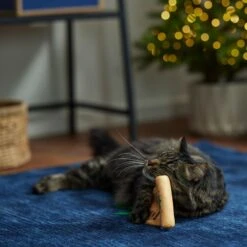 Frisco Holiday Santa's List Plush & Feather Cat Toy With Catnip 6 Frisco Holiday Santa's List Plush & Feather Cat Toy With Catnip -Cat Toy Shop 360895 PT3. AC SS1800 V1661874361