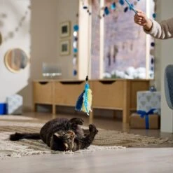 Frisco Hanukkah Interchangeable Teaser Wand Cat Toy With Catnip -Cat Toy Shop 360911 PT3. AC SS1800 V1661890134