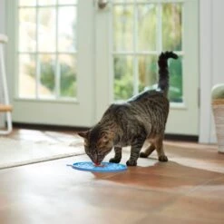 Frisco Non-skid Flower Silicone Dog & Cat Lick Mat, Blue -Cat Toy Shop 363393 PT3. AC SS1800 V1660750521