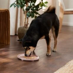 Frisco Silicone Dog & Cat Lick Mat With Suction Cups, Pink -Cat Toy Shop 363395 PT2. AC SS1800 V1660750521