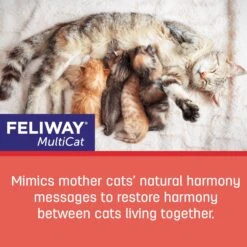 Feliway MultiCat Calming Diffuser Refill For Cats, 30 Day & Frisco Multi-Cat Unscented Clumping Clay Cat Litter -Cat Toy Shop 365463 PT4. AC SS1800 V1686575563