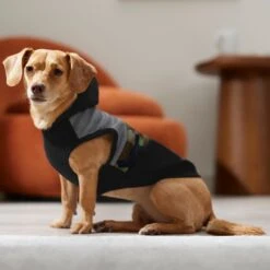 Frisco Army Camo Dog & Cat Hoodie -Cat Toy Shop 368774 PT7. AC SS1800 V1664994217