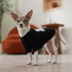 Frisco Big Boss Dog & Cat T-Shirt 12 Frisco Big Boss Dog & Cat T-Shirt -Cat Toy Shop 368782 PT7. AC SS1800 V1664992675