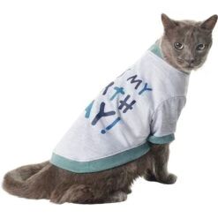 Frisco It's My Birth Day Dog & Cat T-Shirt -Cat Toy Shop 368808 PT2. AC SS1800 V1669100848