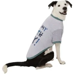 Frisco It's My Birth Day Dog & Cat T-Shirt -Cat Toy Shop 368808 PT4. AC SS1800 V1669101517