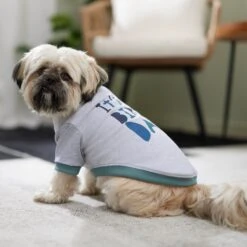 Frisco It's My Birth Day Dog & Cat T-Shirt -Cat Toy Shop 368808 PT7. AC SS1800 V1664992107