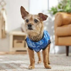 Frisco Tie-Dye Dog & Cat T-Shirt -Cat Toy Shop 368816 PT7. AC SS1800 V1664994331