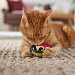 Frisco Valentine Jammin' Ladybug Plush Cat Toy With Catnip 8 Frisco Valentine Jammin' Ladybug Plush Cat Toy With Catnip -Cat Toy Shop 371081 PT3. AC SS1800 V1668736252