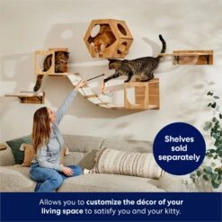 Frisco Acrylic Bowl Wall Mounted Cat Wall Shelf -Cat Toy Shop 373439 PT3. AC SS1800 V1675692704