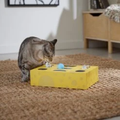 Frisco Cheese Interactive Maze Cardboard Cat Toy Box With Catnip 10 Frisco Cheese Interactive Maze Cardboard Cat Toy Box With Catnip -Cat Toy Shop 506106 PT4. AC SS1800 V1669148185