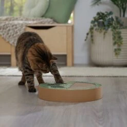 Frisco Interactive Maze & Scratch Cardboard Cat Toy Box With Catnip, Palms -Cat Toy Shop 506130 PT4. AC SS1800 V1669212028