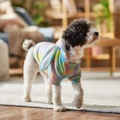 Frisco Wash Effect Bunny Ear Hoodie -Cat Toy Shop 521374 PT7. AC SS1800 V1699653757