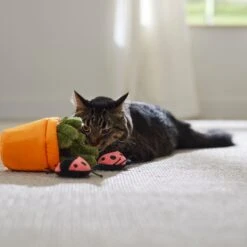 Frisco Spring Potted Plant And Ladybugs Interactive Plush Cat Toy With Catnip 8 Frisco Spring Potted Plant And Ladybugs Interactive Plush Cat Toy With Catnip -Cat Toy Shop 541542 PT3. AC SS1800 V1671814448
