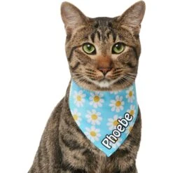 Frisco Personalized Blue Daisy Bandana -Cat Toy Shop 555206 PT6. AC SS1800 V1669839922