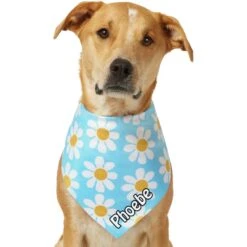 Frisco Personalized Blue Daisy Bandana -Cat Toy Shop 555206 PT7. AC SS1800 V1669839925
