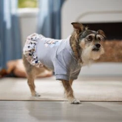 Frisco Stay Wild Dog & Cat Hoodie -Cat Toy Shop 555366 PT6. AC SS1800 V1674829061