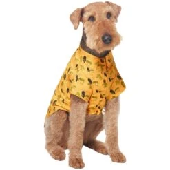 Frisco Safari Zebra Dog & Cat Shirt -Cat Toy Shop 555566 PT3. AC SS1800 V1675103172