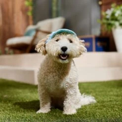 Frisco Blue Ocean Waves 30 + UPF Dog & Cat Beach Cap -Cat Toy Shop 556182 PT5. AC SS1800 V1675714092