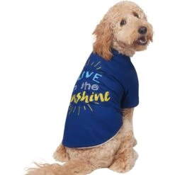 Frisco I Live In The Sunshine Dog & Cat T-Shirt -Cat Toy Shop 556222 PT3. AC SS1800 V1674829145