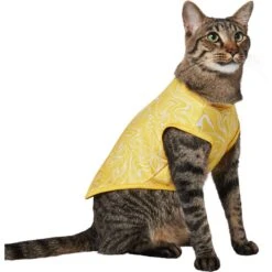 Frisco 30+ UPF Dog & Cat Beach Rash Guard -Cat Toy Shop 556286 PT3. AC SS1800 V1675714033