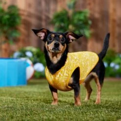 Frisco 30+ UPF Dog & Cat Beach Rash Guard -Cat Toy Shop 556286 PT6. AC SS1800 V1675714036