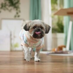 Frisco Vintage Tropical Dog & Cat Pocket T-Shirt -Cat Toy Shop 556598 PT5. AC SS1800 V1675101997