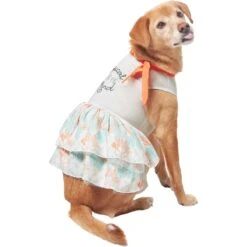 Frisco Tropical State Of Mind Dog & Cat Dress -Cat Toy Shop 556742 PT3. AC SS1800 V1675103177