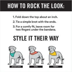 Frisco Gingerbread Treats Personalized Dog & Cat Bandana -Cat Toy Shop 564502 PT2. AC SS1800 V1660250859