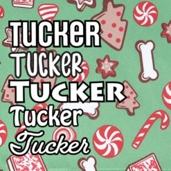 Frisco Gingerbread Treats Personalized Dog & Cat Bandana -Cat Toy Shop 564502 PT4. AC SS1800 V1660250970