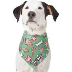 Frisco Gingerbread Treats Personalized Dog & Cat Bandana -Cat Toy Shop 564502 PT6. AC SS1800 V1660405305