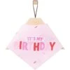 Frisco Dog & Cat Birthday Bandana