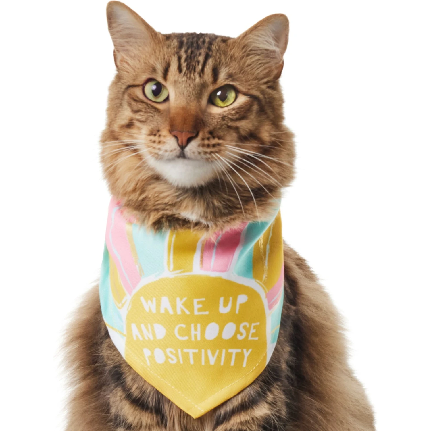 Frisco Wake Up Positive Dog & Cat Bandana 3 Frisco Wake Up Positive Dog & Cat Bandana - Image 3