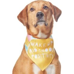 Frisco Wake Up Positive Dog & Cat Bandana 11 Frisco Wake Up Positive Dog & Cat Bandana -Cat Toy Shop 608230 PT3. AC SS1800 V1676643831