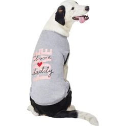 Frisco I Love Daddy Heart Dog & Cat T-Shirt -Cat Toy Shop 608262 PT3. AC SS1800 V1676585958