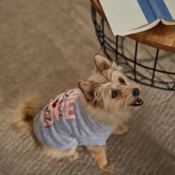 Frisco I Love Daddy Heart Dog & Cat T-Shirt -Cat Toy Shop 608262 PT7. AC SS1800 V1676585954