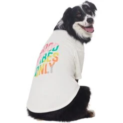 Frisco Good Vibes Only Dog & Cat T-Shirt -Cat Toy Shop 608518 PT3. AC SS1800 V1676642216