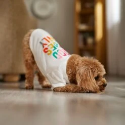 Frisco Good Vibes Only Dog & Cat T-Shirt -Cat Toy Shop 608518 PT7. AC SS1800 V1676644453