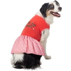 Frisco Time To Shine Dog & Cat Dress -Cat Toy Shop 608638 PT3. AC SS1800 V1676644904