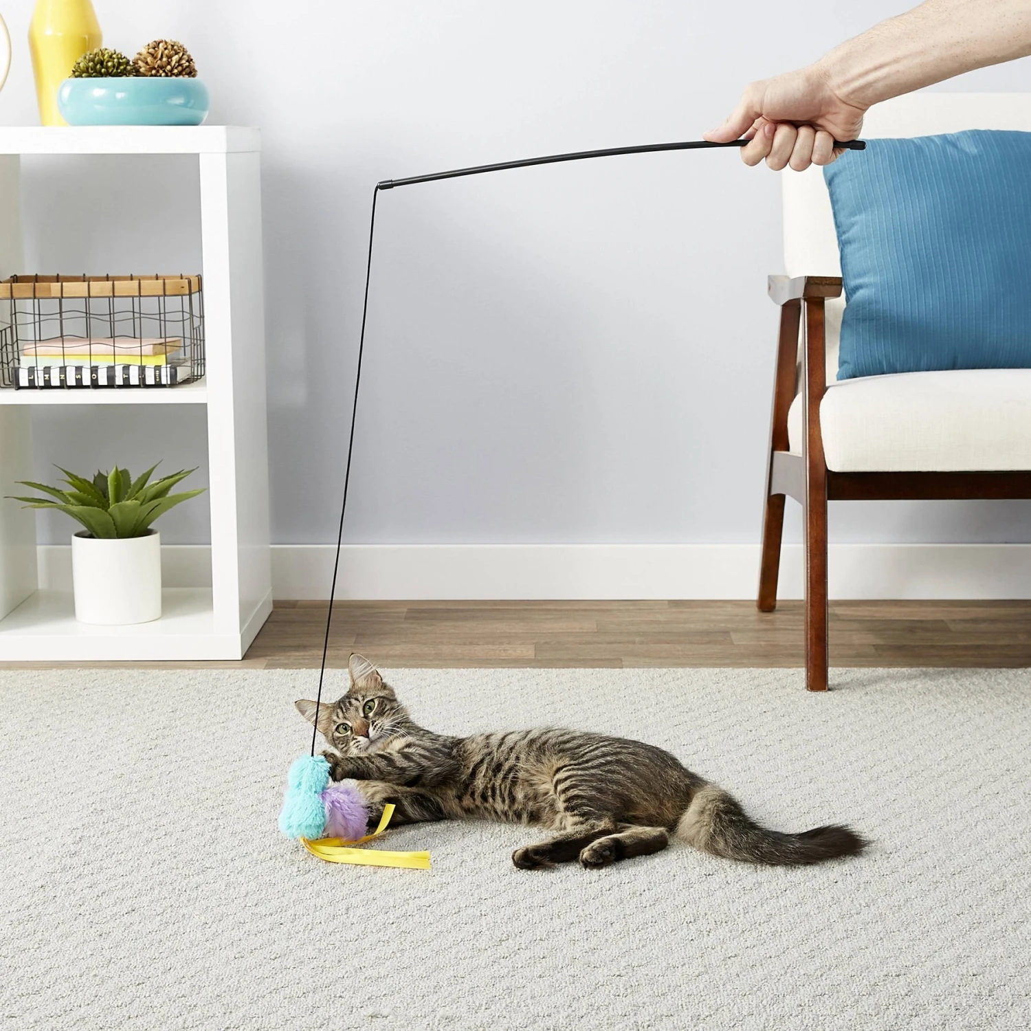 Frisco Natural Catnip & Frisco Bird With Feathers Teaser Wand Cat Toy With Catnip 9 Frisco Natural Catnip & Frisco Bird With Feathers Teaser Wand Cat Toy With Catnip - Image 9