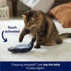 Frisco Interactive Flopping Fish Electronic Cat Toy With Catnip -Cat Toy Shop 632798 PT4. AC SS1800 V1679513800