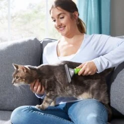 Frisco 71-in Faux Fur Cat Tree & Condo & Frisco Deshedding Dog & Cat Brush -Cat Toy Shop 660294 PT8. AC SS1800 V1666838810